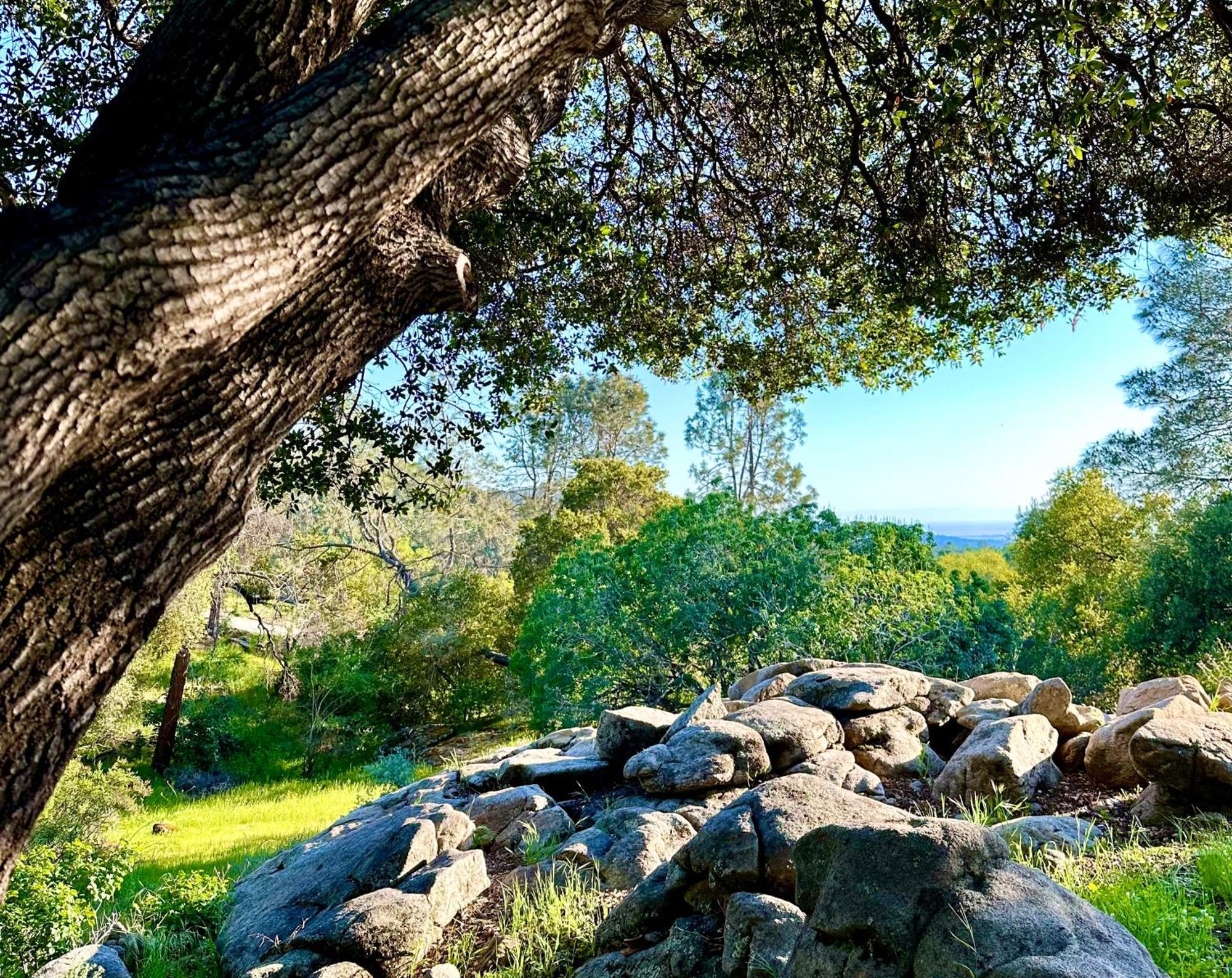 Villa Emerald Ranch Of Yosemite à Coarsegold Extérieur photo